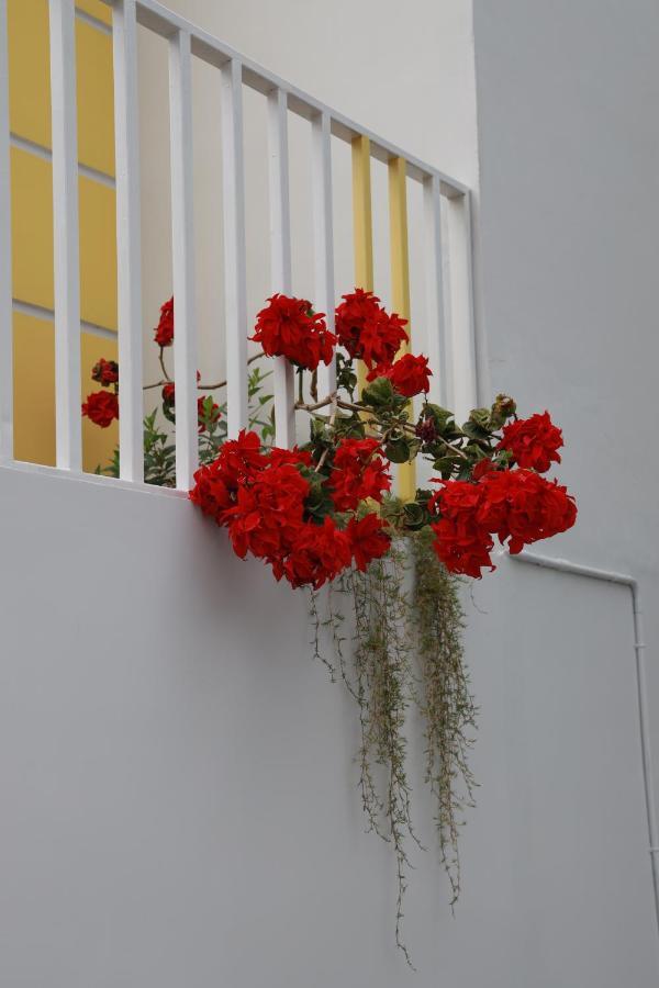 Munnar Bnb Bed & Breakfast Exterior photo